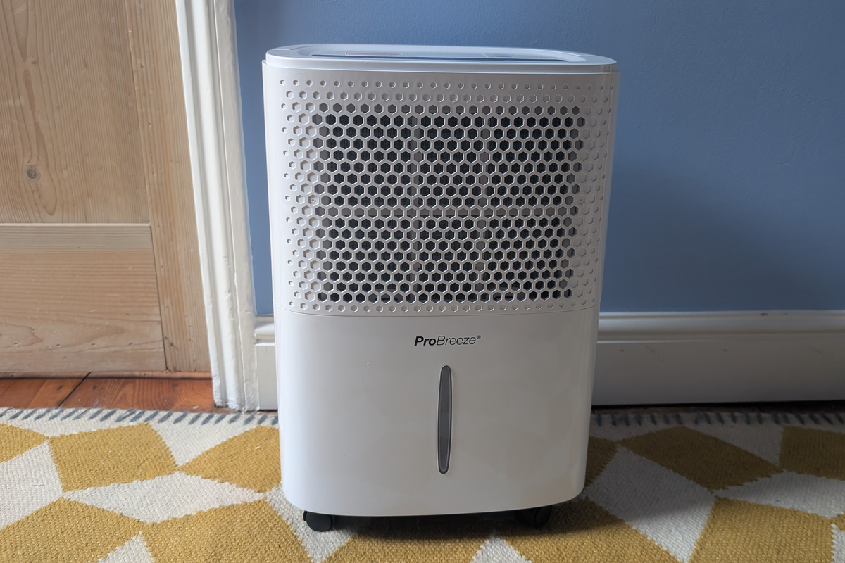 What does a dehumidifier actually do? Experts explain