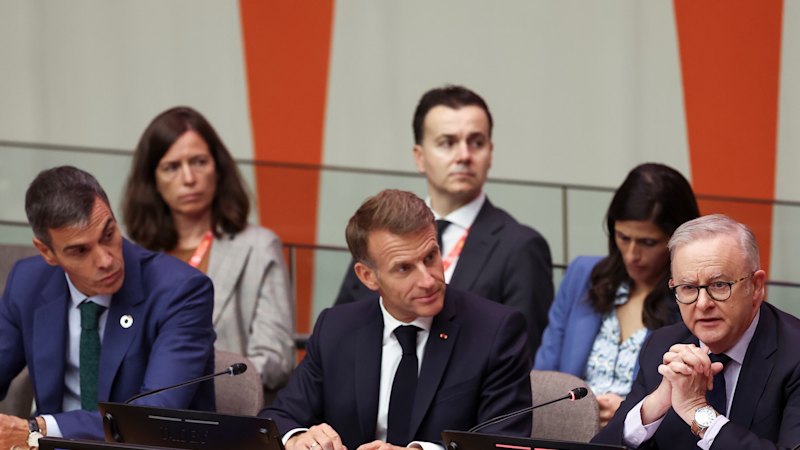 Smaller nations must take on the superpowers, Albanese tells UN
