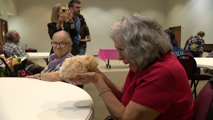 UH researchers want to build AI robots for older adults — and Houston seniors are helping