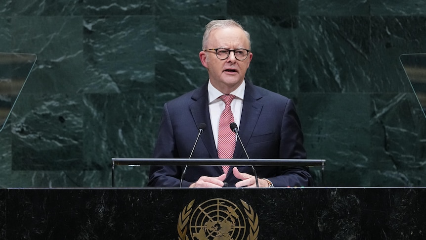 Albanese laments 'breakdown' of global rules in major UN speech
