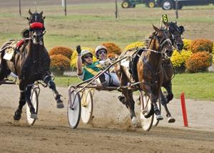 Jamieson drives Redland Rocket Man to victory in Grade 1 Little Brown Jug