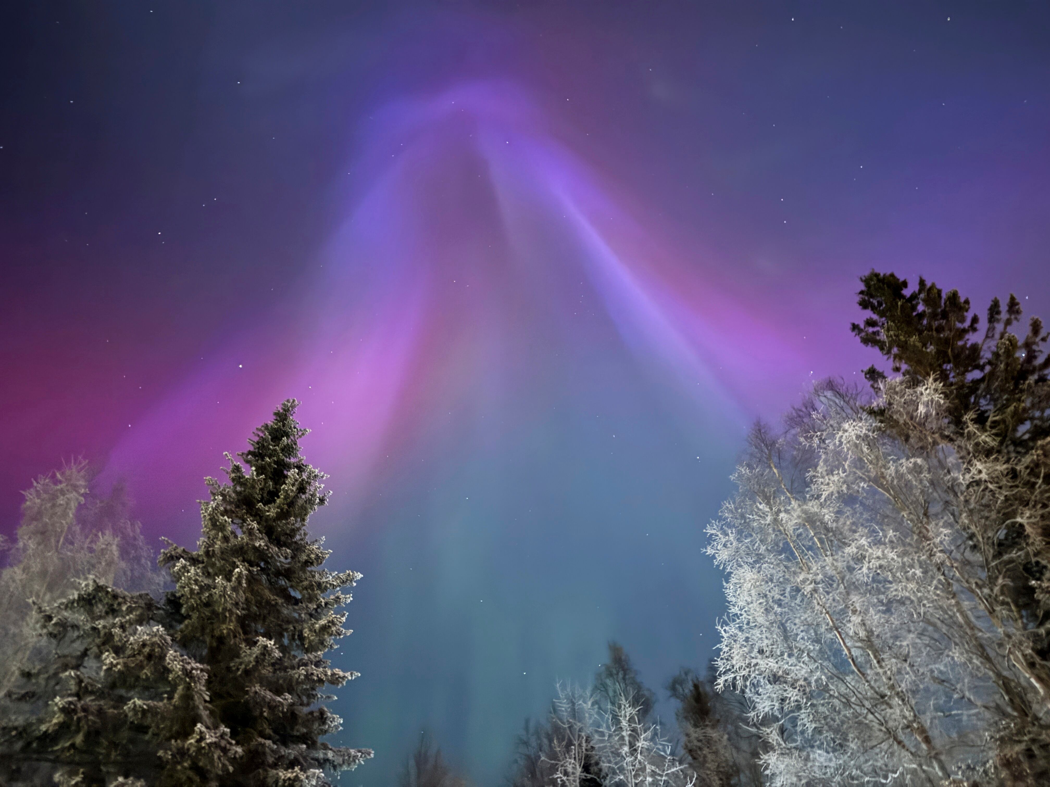 Opinion: Alaska’s greatest natural resource may be its curiosity