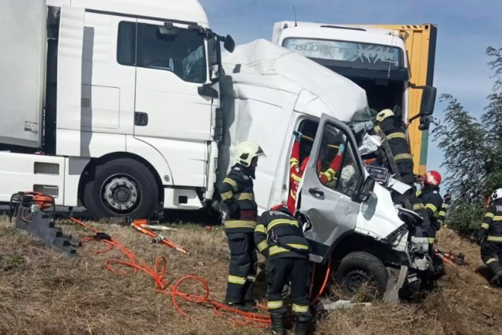 Two Brit women, 61 & 41, killed alongside eight dogs in horror four-vehicle crash in Romania