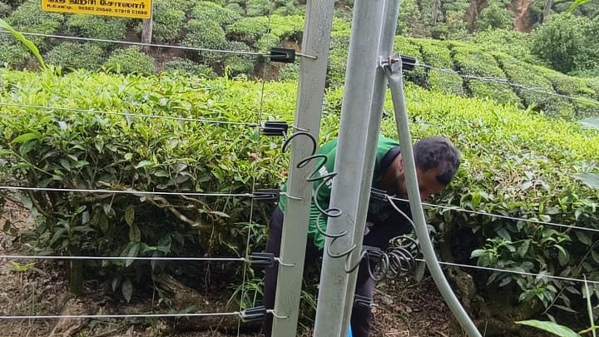 Idukki Collector orders removal of unauthorised barriers obstructing wildlife movement
