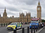 Illegal ice cream vans at iconic London tourist landmarks must go, say Tories