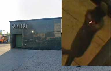 Queens shooting: Gunman sought for executing man steps away from strip club