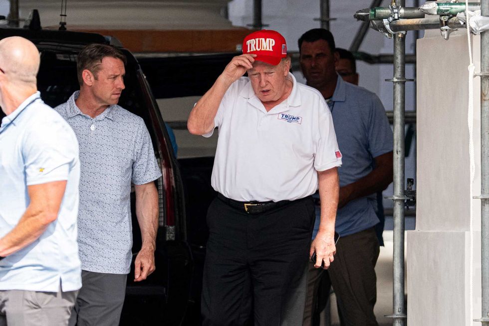 Trump was just hit with something he won't 'be able to withstand': psychologist niece