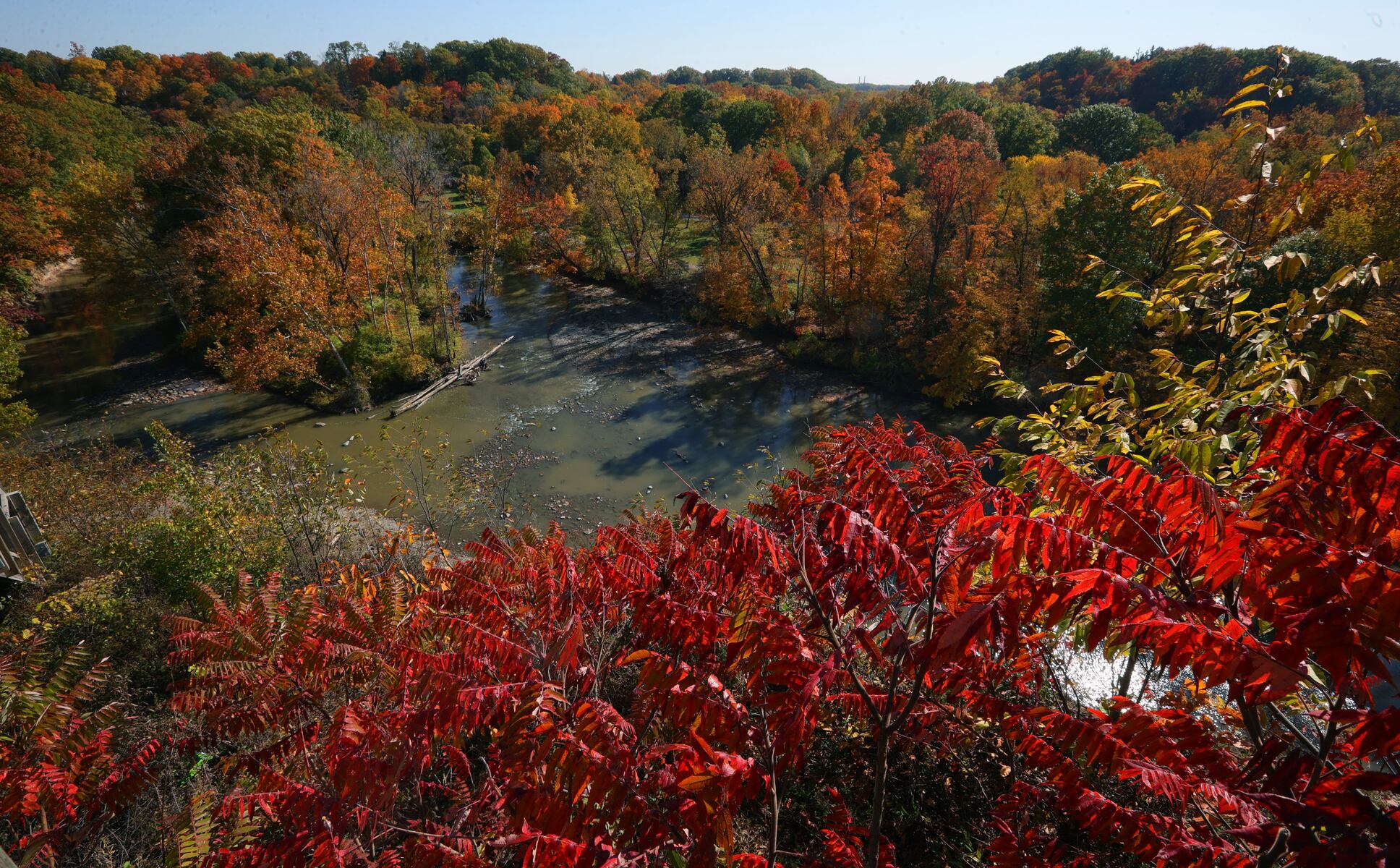 Northeast Ohio’s fall colors are coming: This foliage map can help you plan