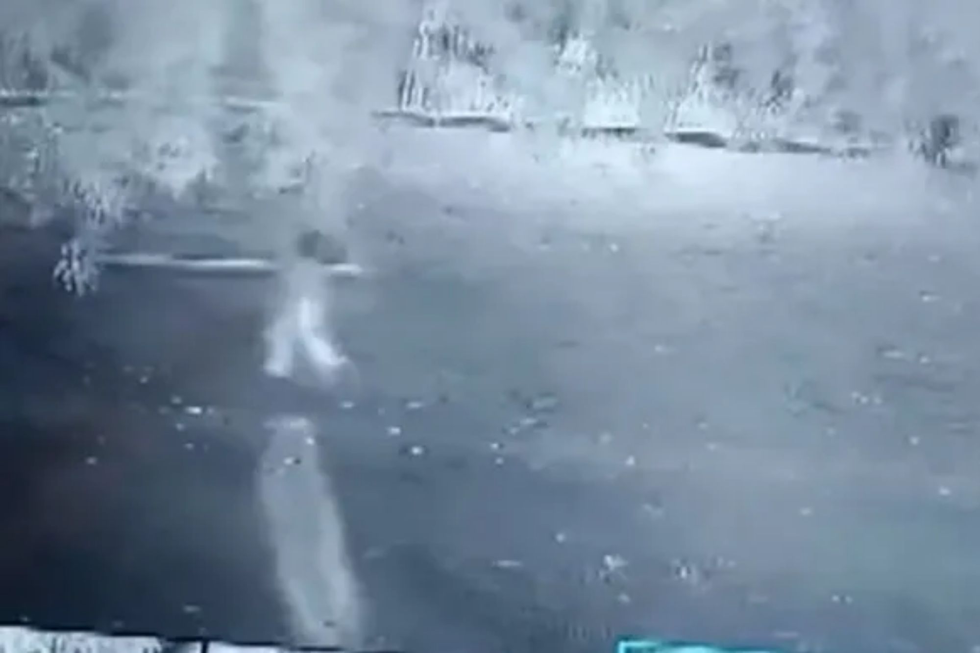 Horrifying moment girl, 6, is snatched by leopard & dragged to her death while playing in garden at home
