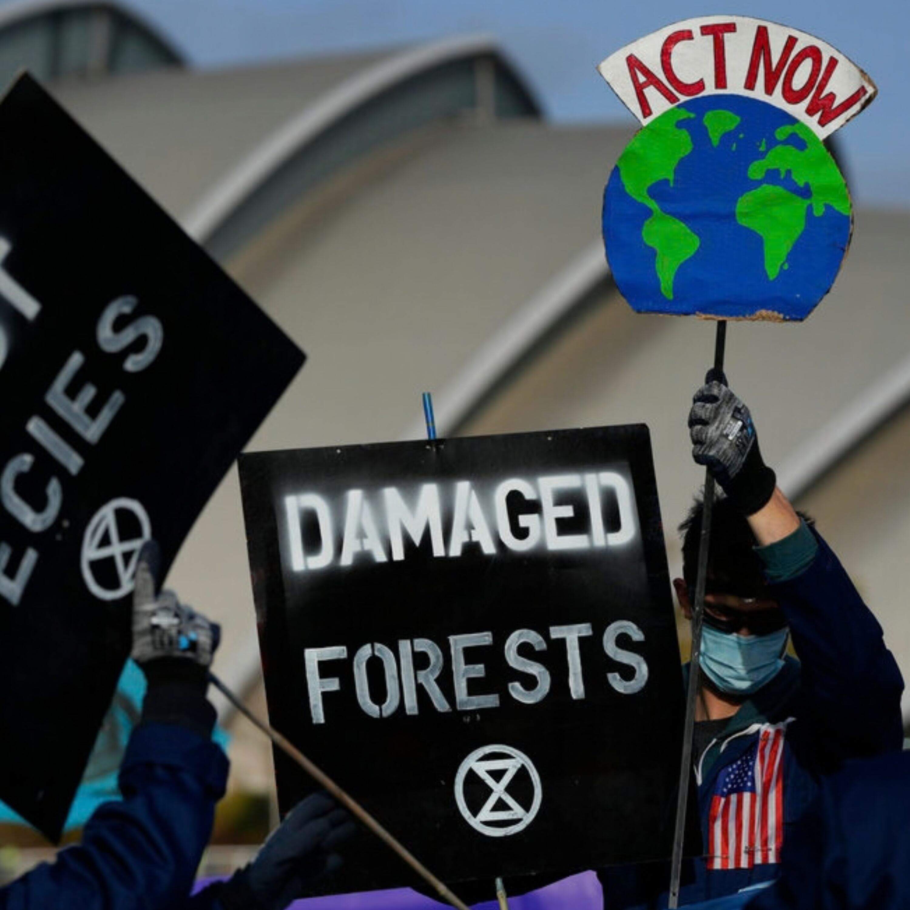 What we can actually do to save the planet