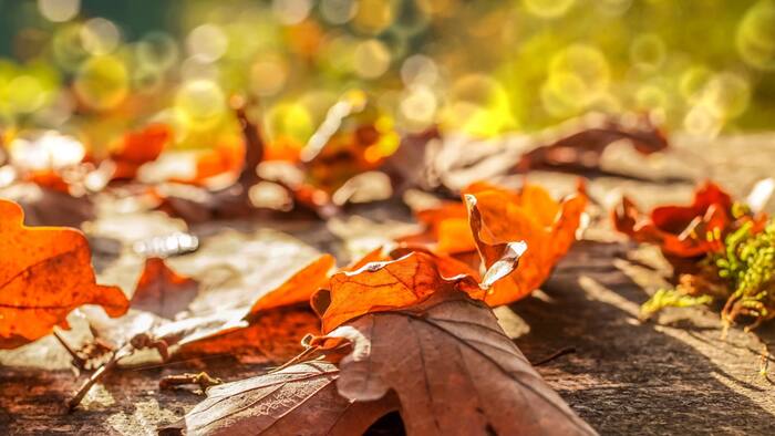 Fall in San Antonio has become nearly 4 degrees warmer since 1970