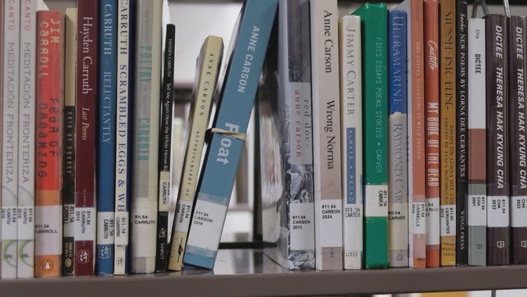 Non-city residents will soon have to pay to use San Antonio libraries. How much will it cost?
