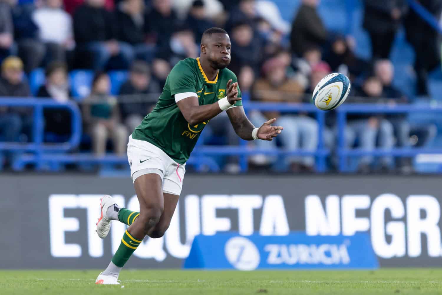 Wallabies v Springboks in Perth: Six fringe players aiming to impress