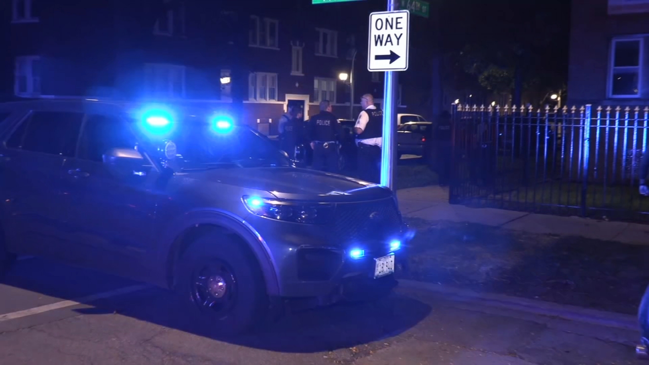 Child critically injured in shooting at Marquette Park home; person of interest in custody: police