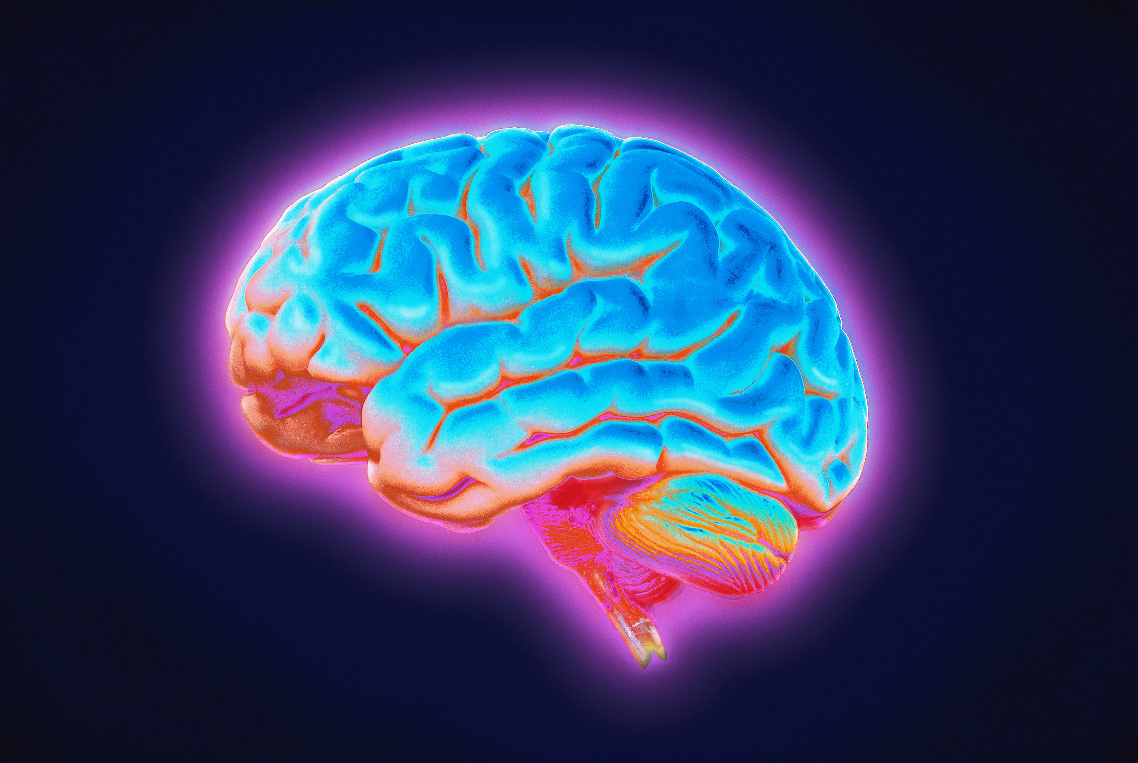 Scientists Can Make Your Memory ‘Young’ Again—By Reprogramming Your Brain