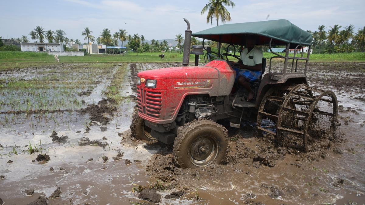 Price of ammonium sulphate soars over 60% in Salem and Namakkal districts
