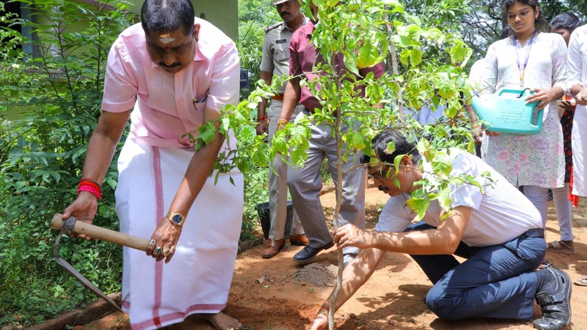 Institute launches sapling planting initiative