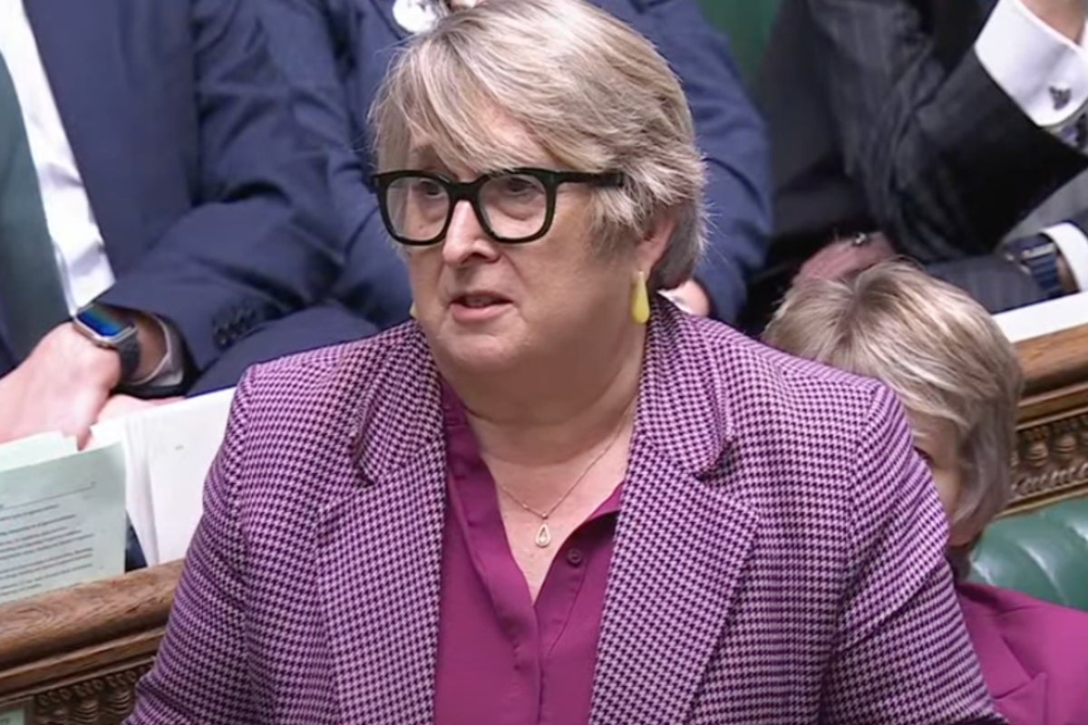 Lib Dem MP announces she will not fight the next election