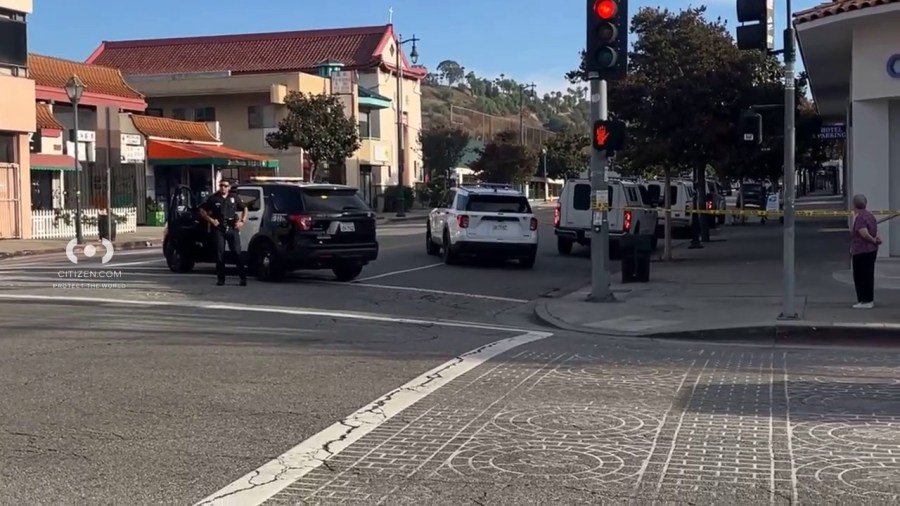 Armed man sought as LAPD searches Chinatown