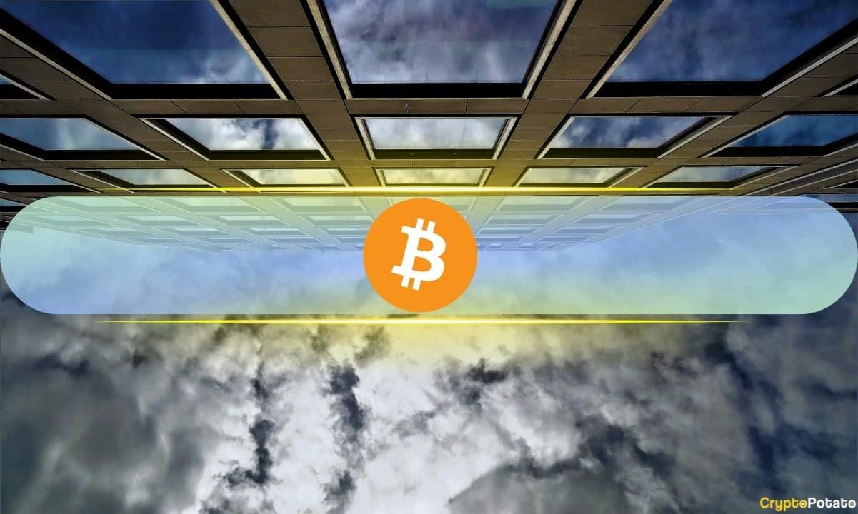 Institutions Watched Bitcoin Fall 50%: Yet None of 15 Bitwise Surveyed Investors Cut Exposure