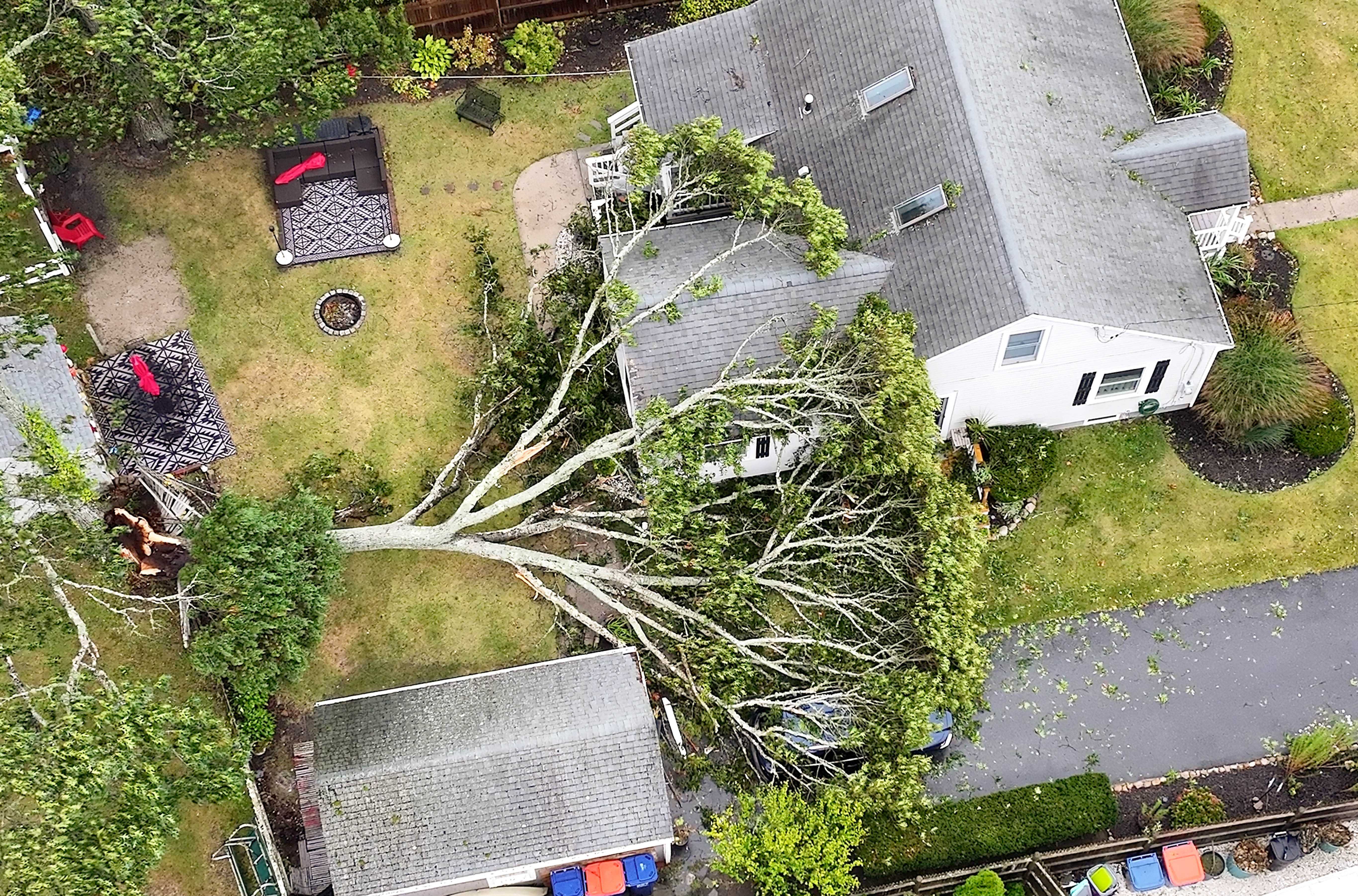 'I could have been killed': Cape Cod woman recounts tree crashing onto home during storm