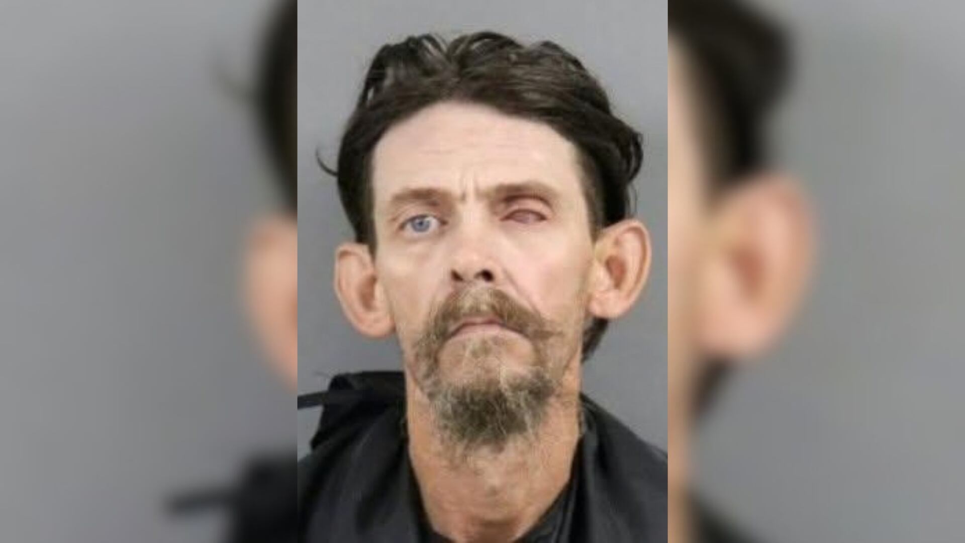 Man arrested after 8 dogs, including puppies, found malnourished