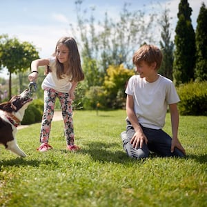 I’m a vet. Here are 4 common mistakes I see new pet owners make