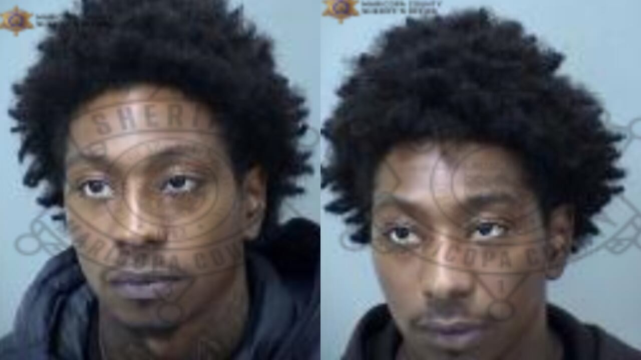 Avondale brothers arrested after undercover teen prostitution sting