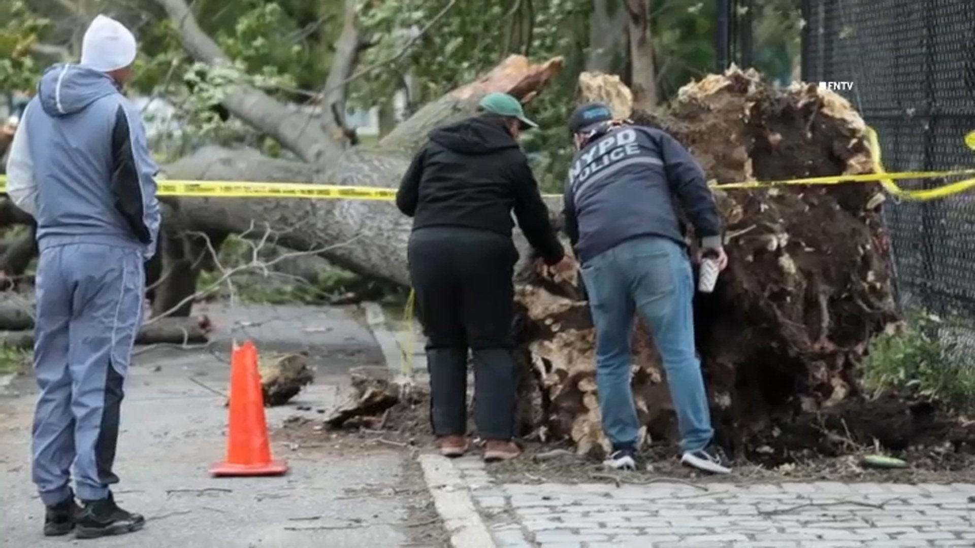 NYCHA worker killed by falling tree in East New York, Brooklyn