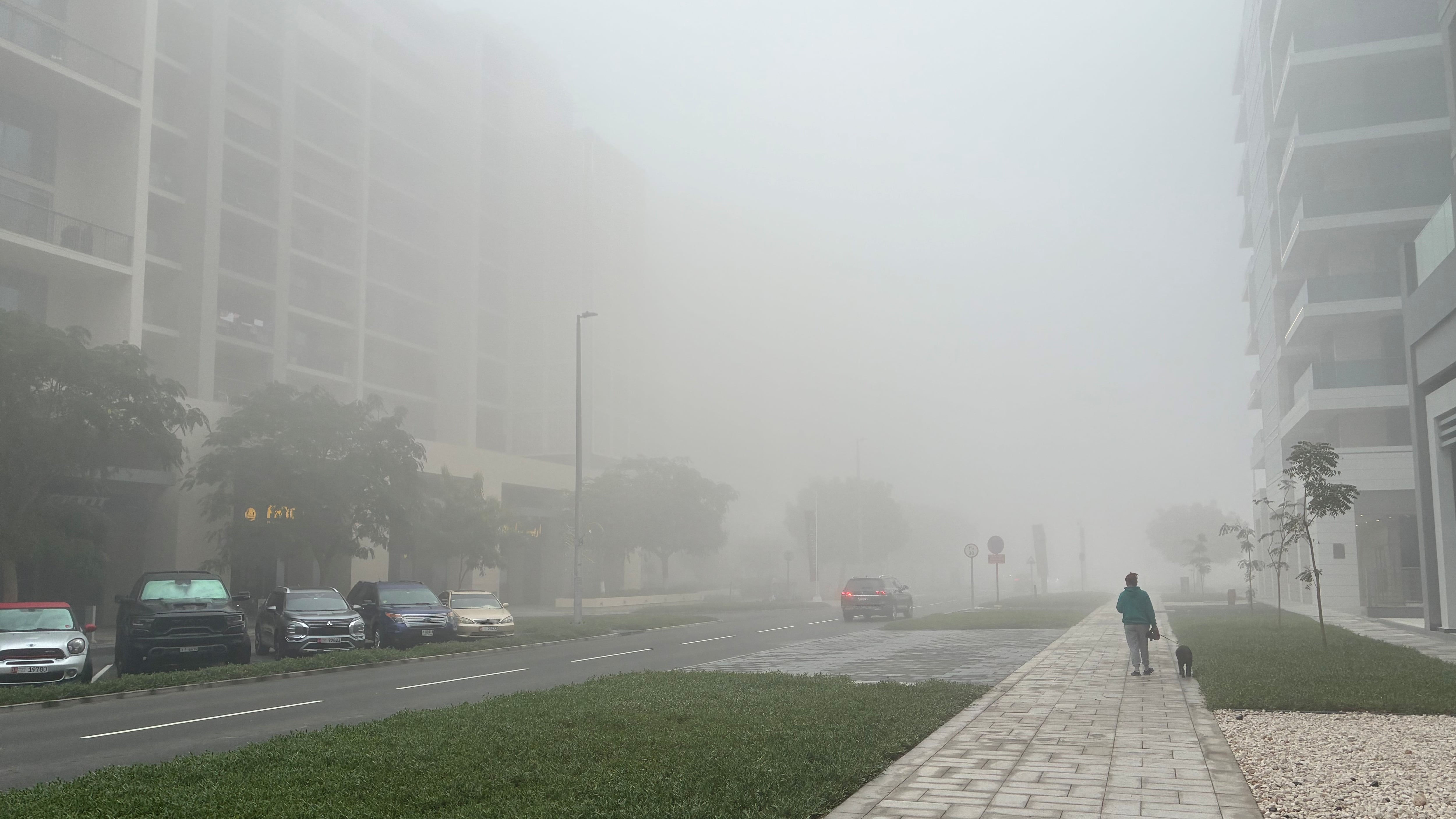UAE weather alert issued over fog expected to persist for days