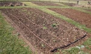 Master Gardener: Automated watering solutions worth considering to beat the heat