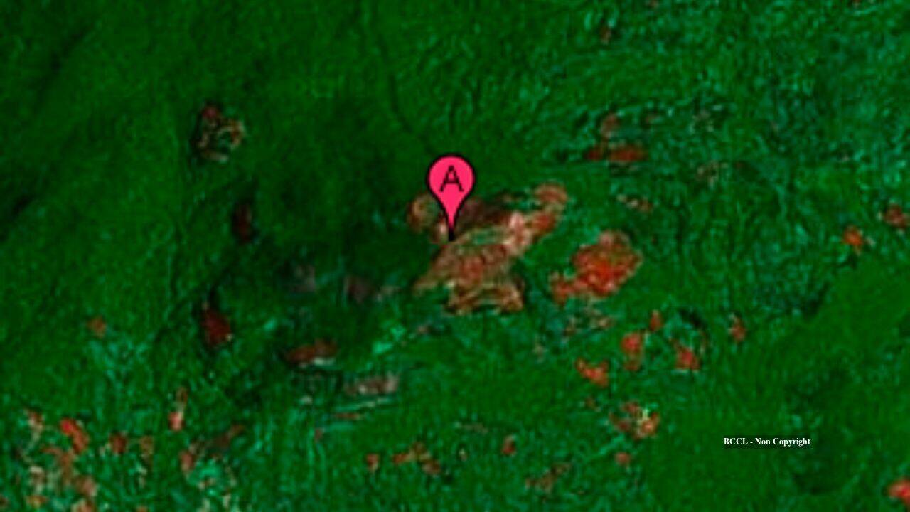 Google Earth discovery led to 3 new butterfly species and a new snake