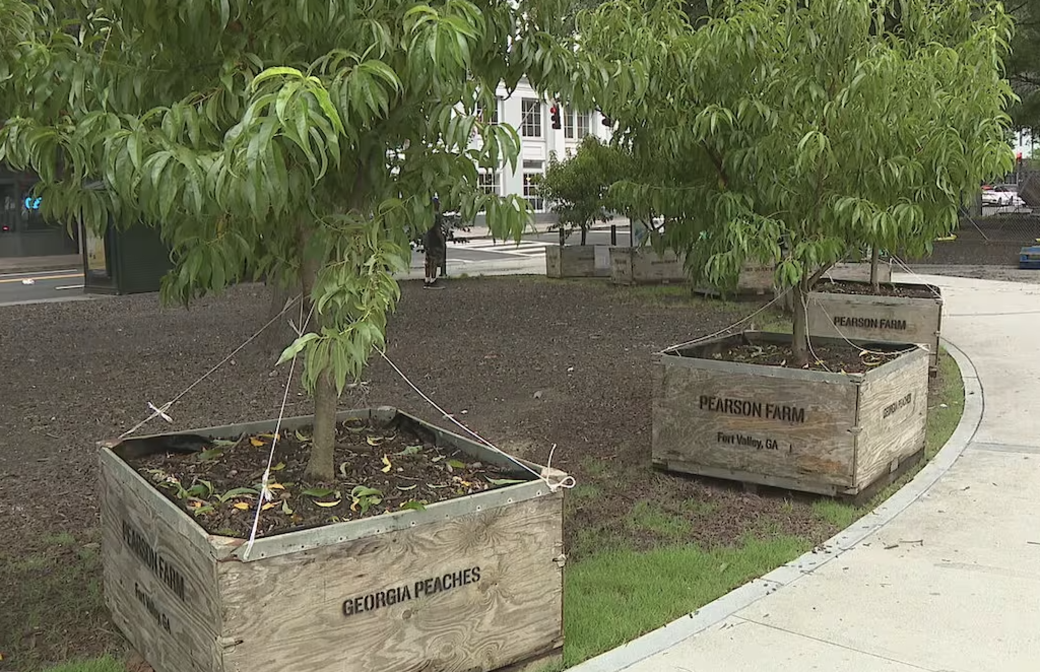 DeKalb County invites public to shape future parks in master plan update
