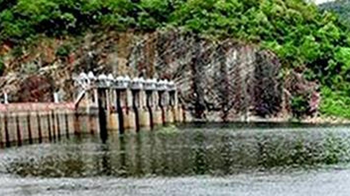 Water level in Papanasam dam stands at 47.80 feet