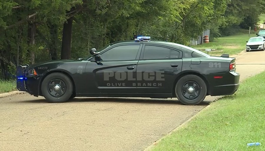 Pedestrian killed in Olive Branch, MS crash