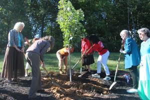 Cobb officials plant tree in honor of east Cobb community advocate