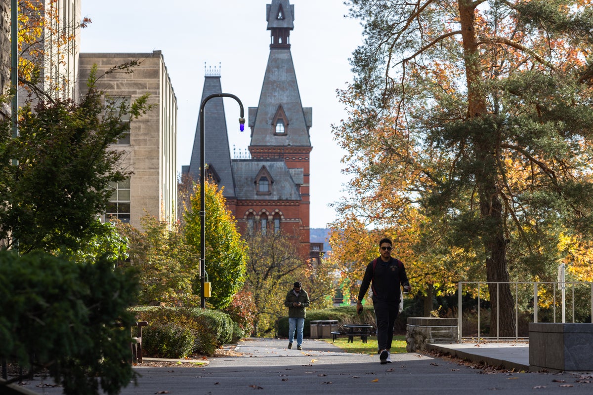 Ex-Cornell student sues fraternity members and college over alleged gang rape and claims several were punished with essay-writing