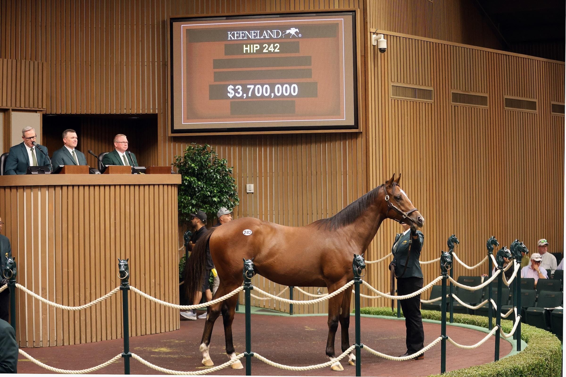 Keeneland Sales Produces World Record Numbers Ahead Of Breeders Cup
