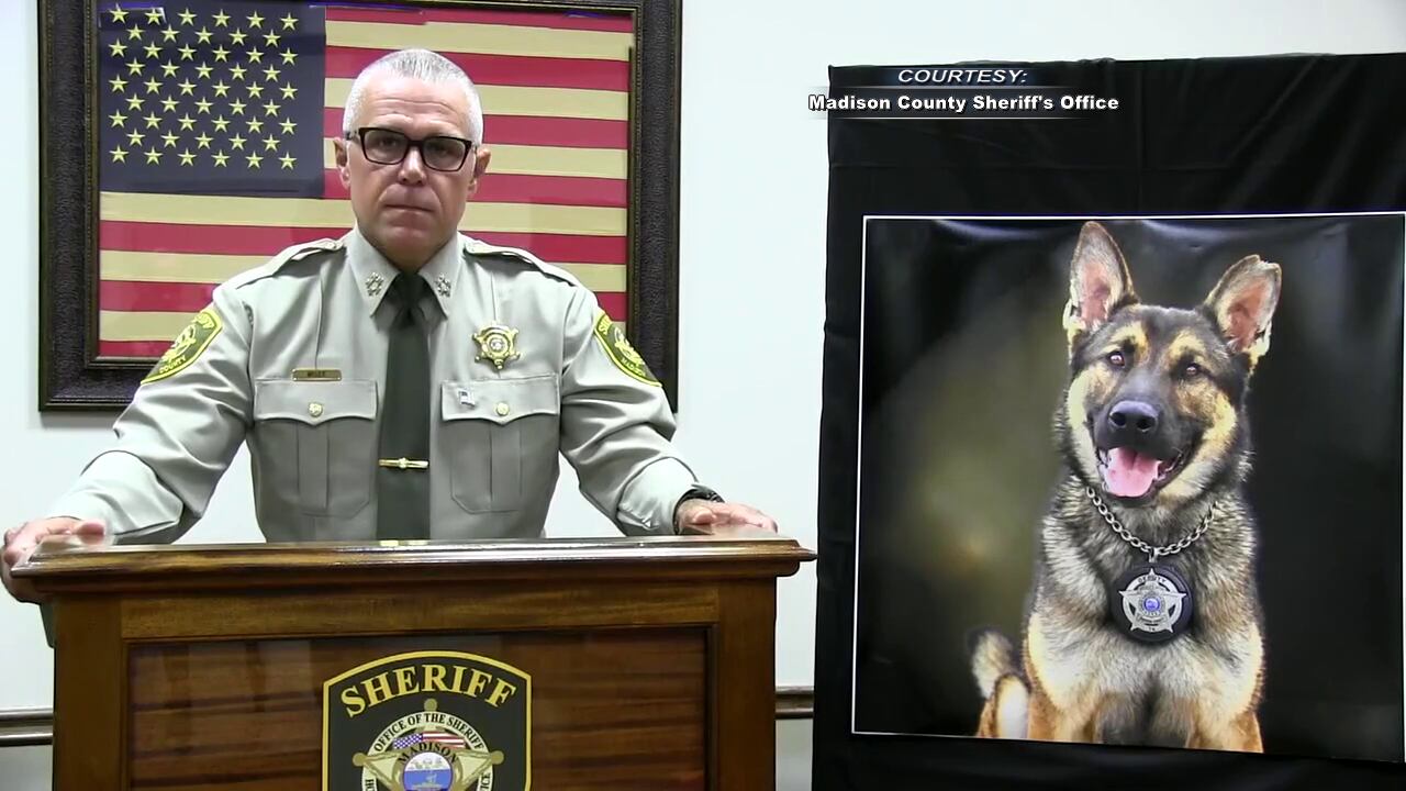 K-9 left outside without water for 36 hours before he died from heatstroke, officials say