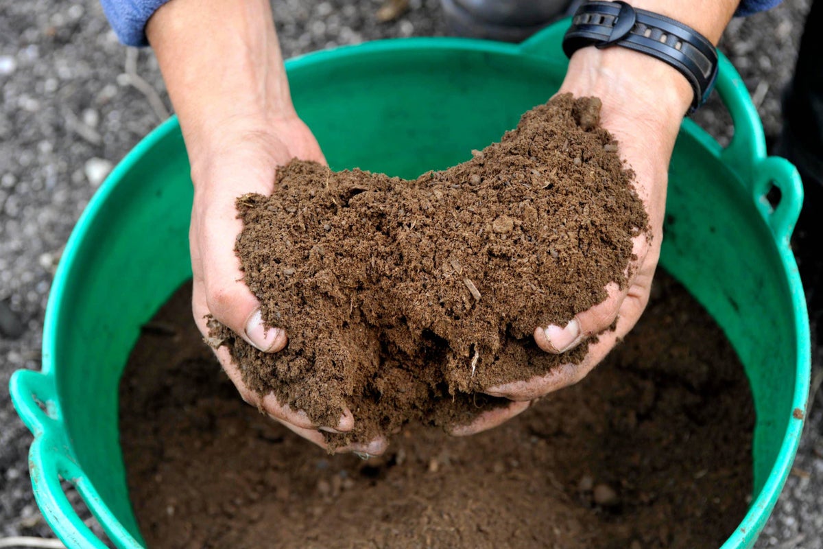 What to put in your compost bin – and what to leave out