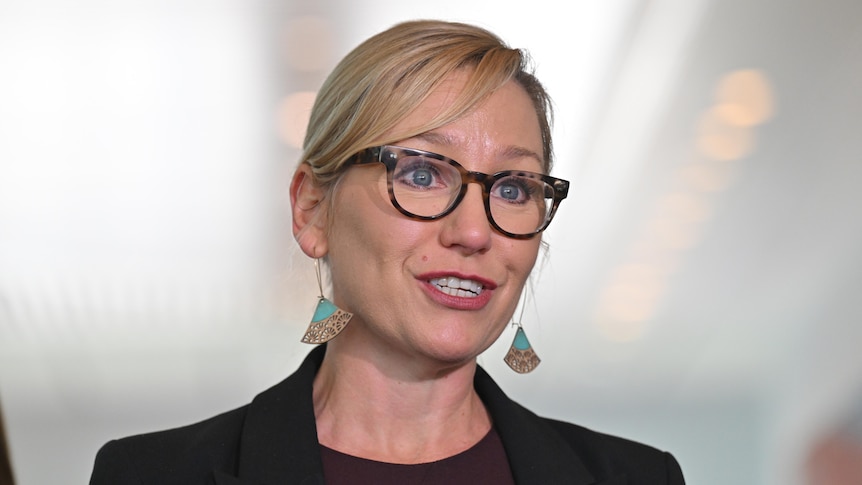 Greens leader Larissa Waters steps down due to illness