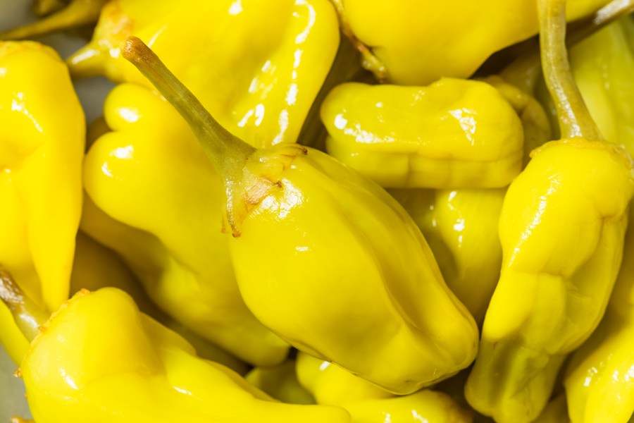 Mezzetta brand pepperoncini recalled after social media video shows potential 'pest contaminant'