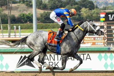 Nor'easter halts Belmont, Delaware racing; Breeders' Cup preps go on