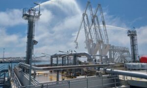 A.P. Moller Capital strikes deal for Euroports majority