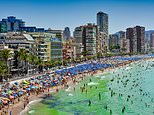 Woman 'who cut the safety ropes of a Benidorm skyscraper workman leaving him clinging onto 150ft ledge' faces jail in Spain