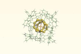 Elemental sulfur found in mammalian cells for first time