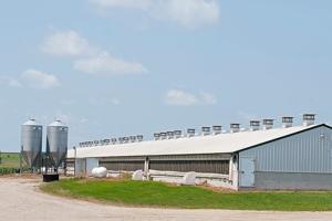 What data on 11K farms reveals about the country’s factory farm hotbed
