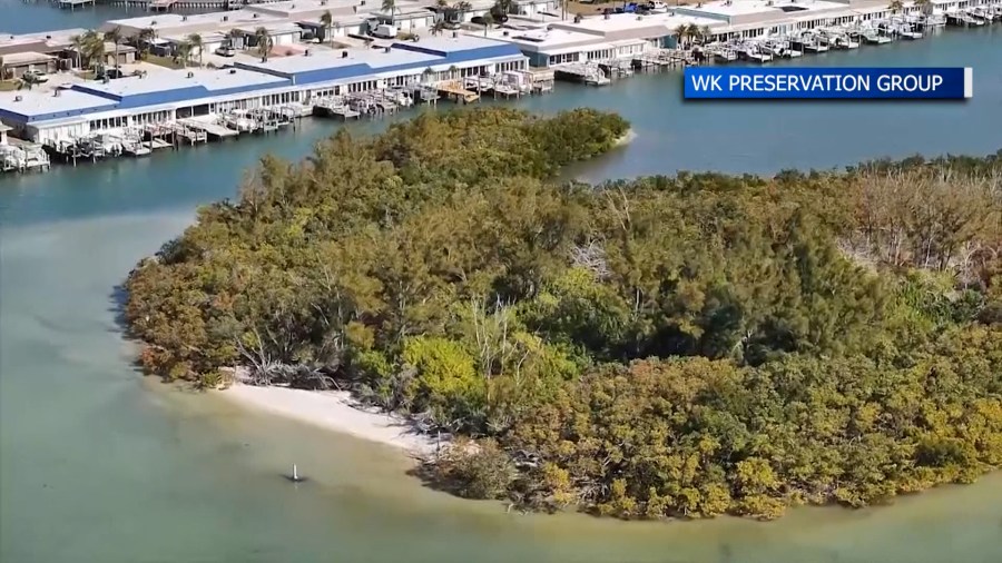 Pinellas County leaders, activists speak on project to protect acres of marine habitat, coastal property