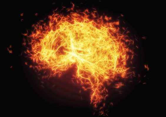 Fire in the Brain: How Psychosis May Arise When the Body Attacks Itself