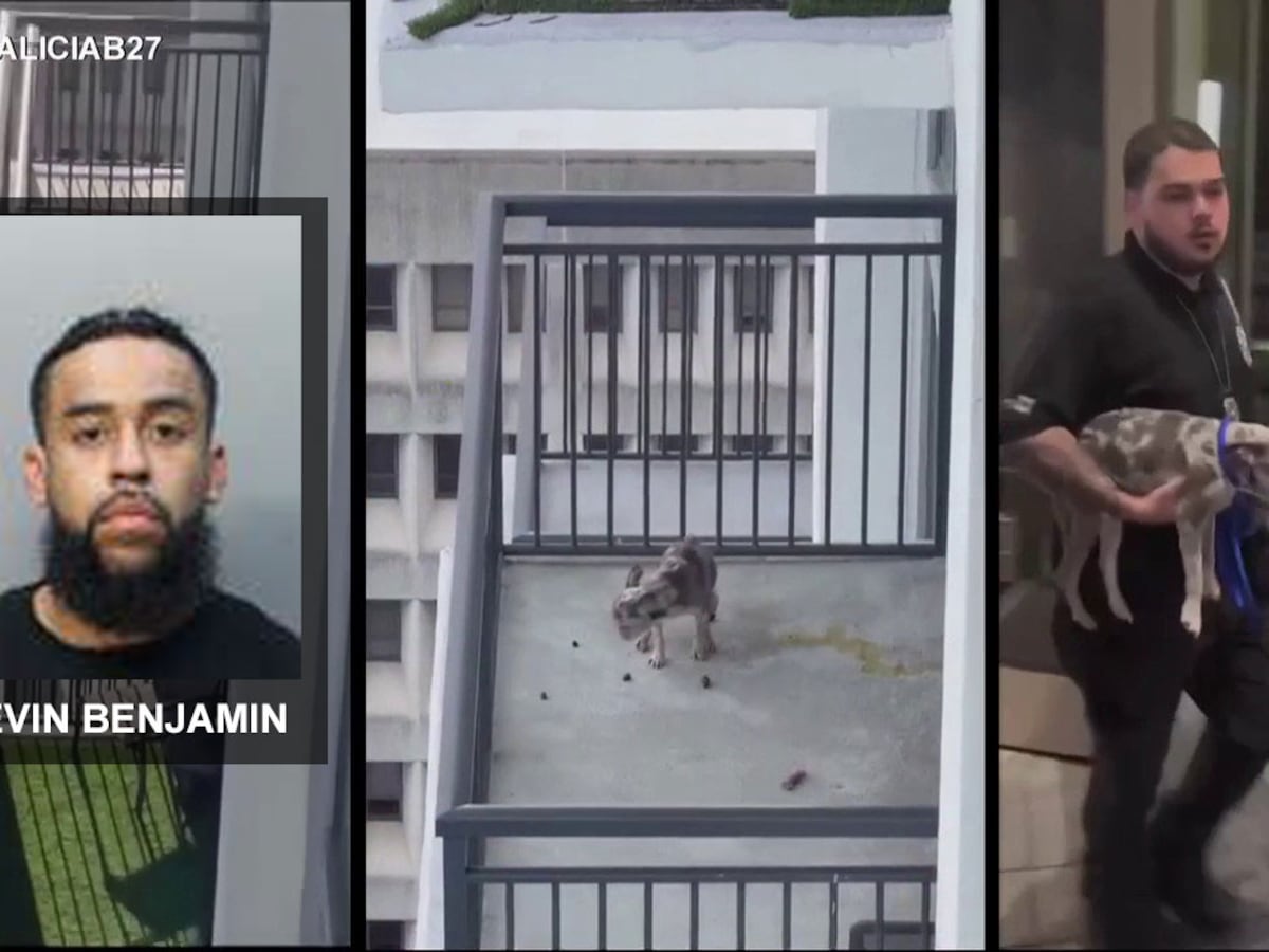 Miami DJ released on bond after neighbor’s video of his dog results in animal cruelty case, records show